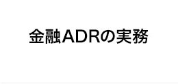 冊子：金融ADRの実務